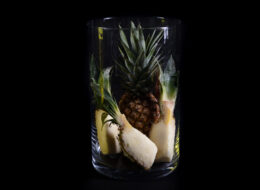 2020-11-15 Terre de Glaces-46