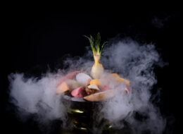 2020-11-15 Terre de Glaces-90